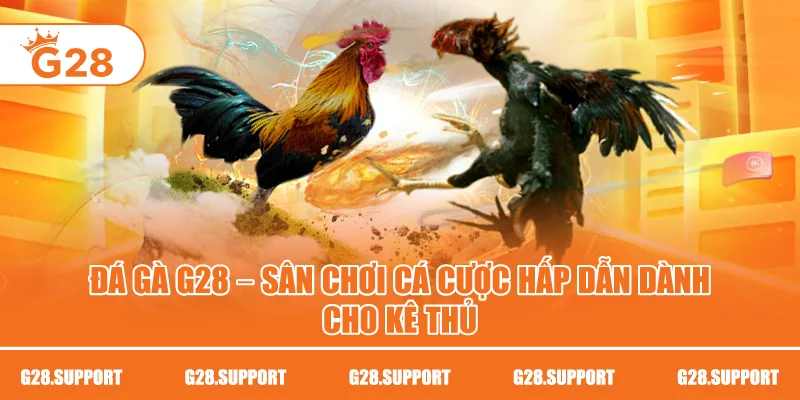 Đá Gà G28 – Sân Chơi Cá Cược Hấp Dẫn Dành Cho Kê Thủ